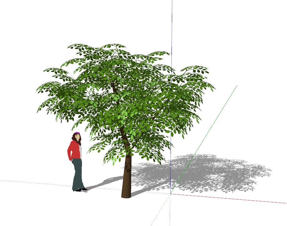 1绿色乔木sketchup模型47-SU建筑景观室内模型