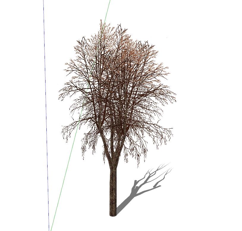 枯树冬季树sketchup模型4-SU建筑景观室内模型