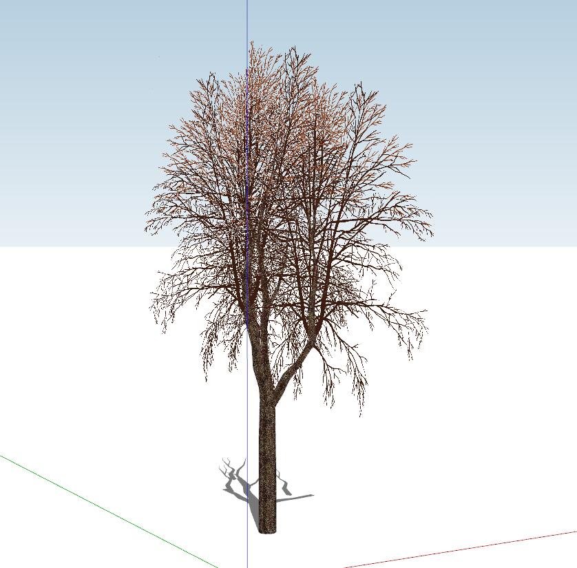 枯树冬季树sketchup模型5-SU建筑景观室内模型