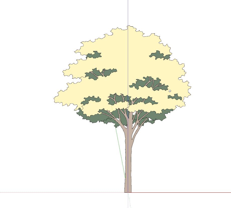 手绘植物sketchup模型8-SU建筑景观室内模型