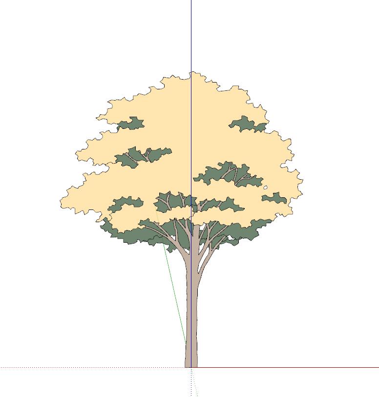 手绘植物sketchup模型10-SU建筑景观室内模型