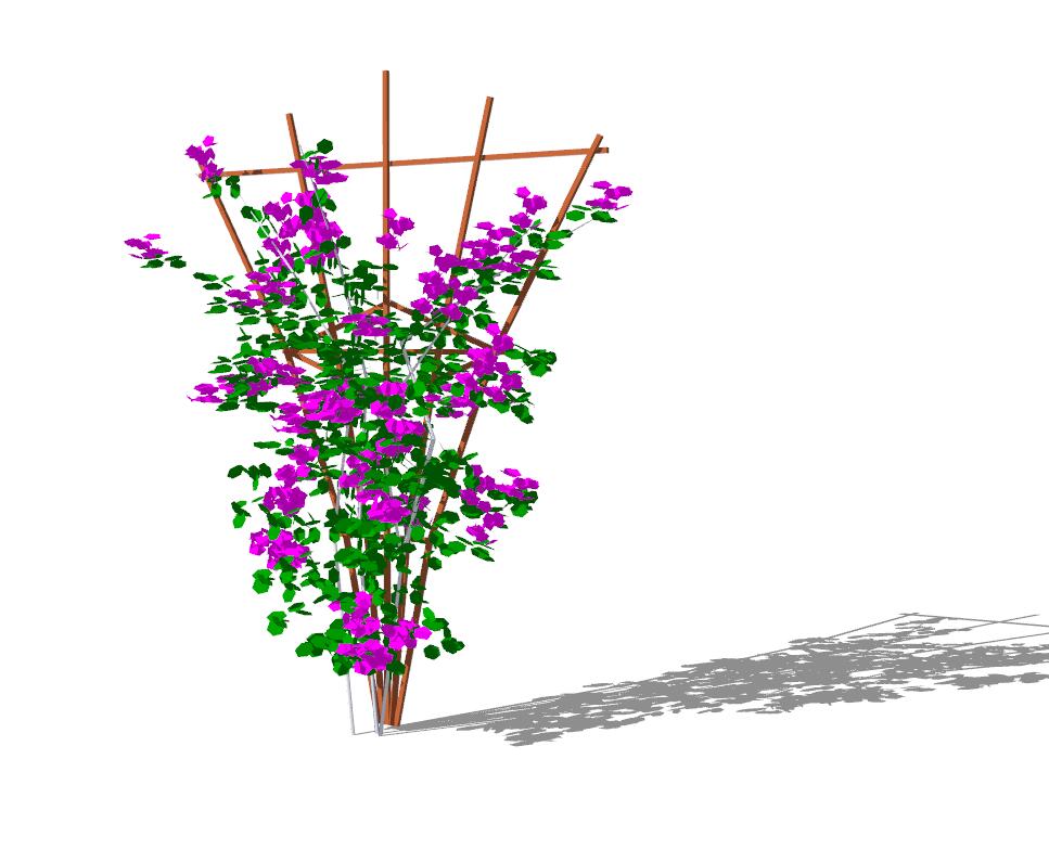 叶子花sketchup模型29-SU建筑景观室内模型