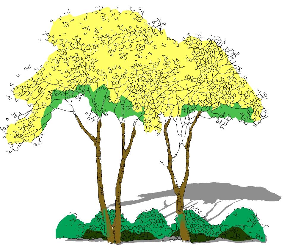 2D乔木SU模型sketchup模型143-SU建筑景观室内模型