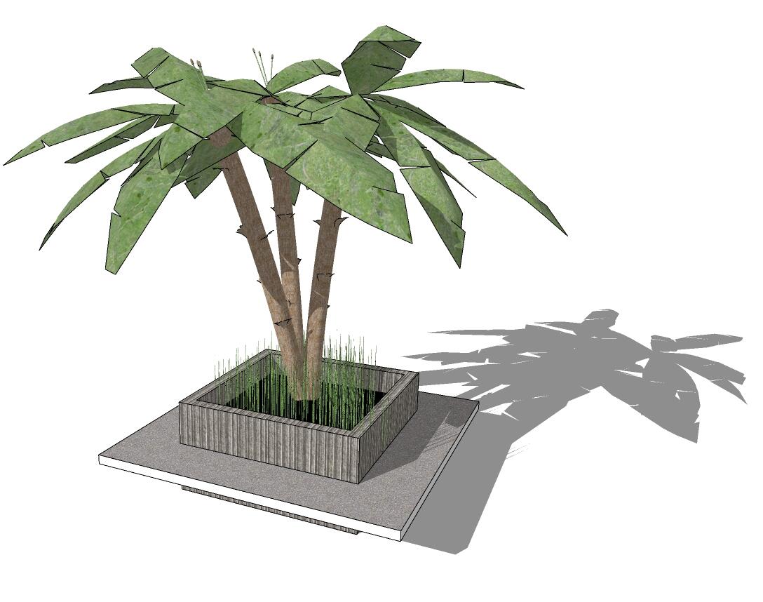 3D热带树sketchup模型29-SU建筑景观室内模型