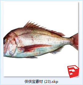 水生动物SU模型sketchup模型23-SU建筑景观室内模型