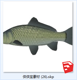 水生动物SU模型sketchup模型26-SU建筑景观室内模型