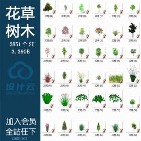 模型-景观植物花草树木SU草图大师室内设计SketchUp精美家装SU建筑景观室内模型