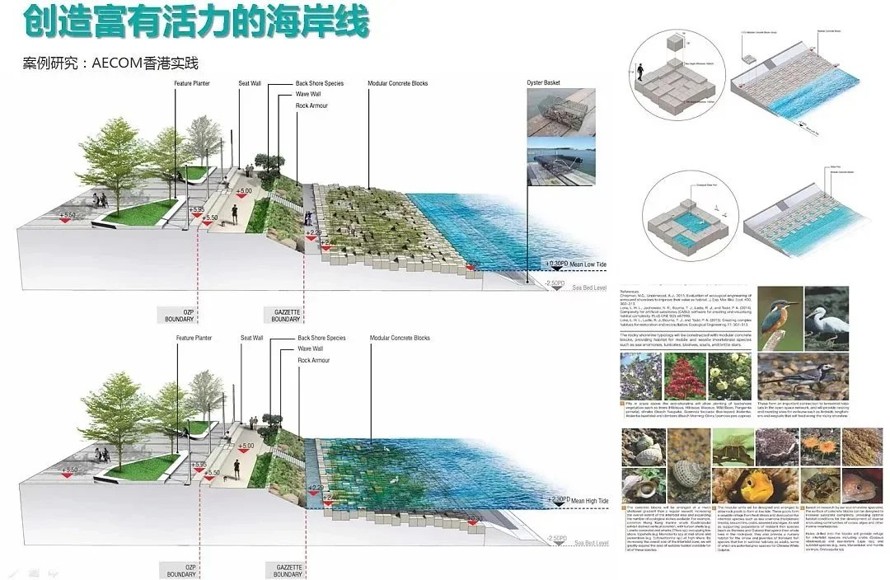 温州新门户-东海国际城-知名设计-金茂·温州瓯江新区项目整体设计阶段性汇报方案（158页PPT超高清文件）