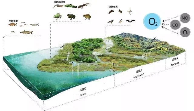 大型城市绿地-国际征集方案-NITA设计-某市以体育运动为特色-休闲产业为先先导的城市公园（204页PDF高清文件）