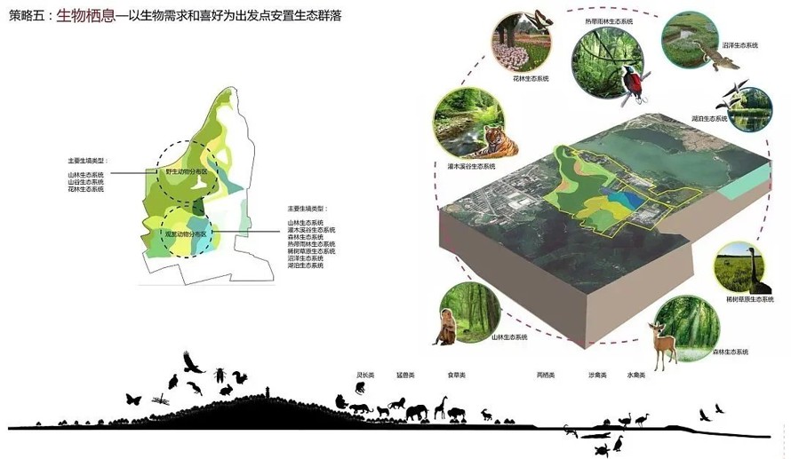 动物王国-植物世界-探索之旅-某市山地森林植物园、动物园、游乐园规划设计方案（该项目资料为：120页PDF高清文件）