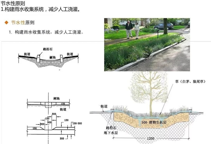 大和路龙华段沿线景观提升方案设计