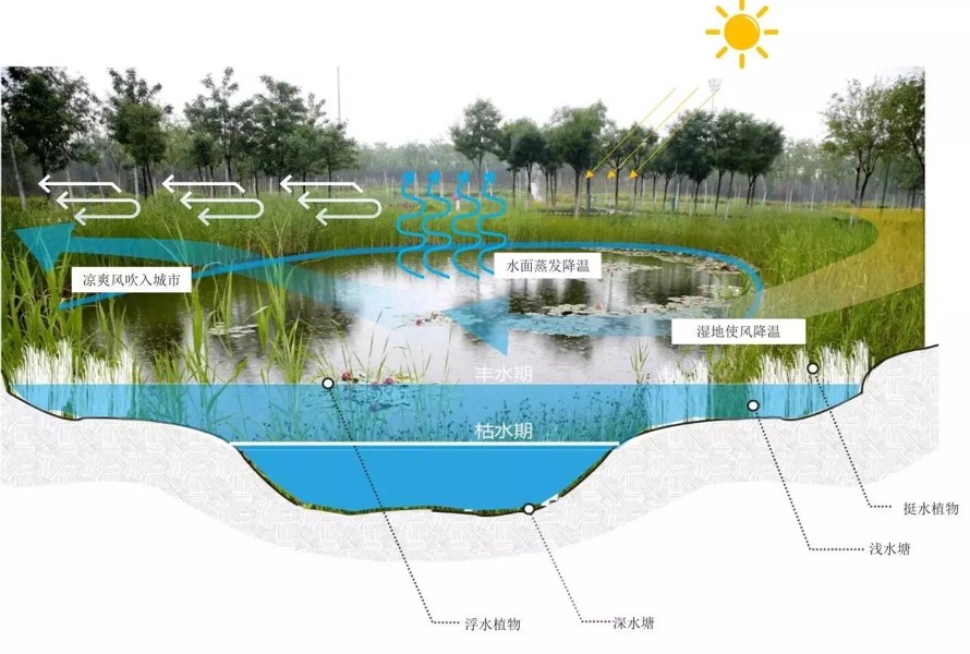 创享智轴-活力网络-海绵绿环-浙江大湾区某科技创新岛总体规划设计方案+CAD方案图（93页PDF高清文件+CAD方案图）