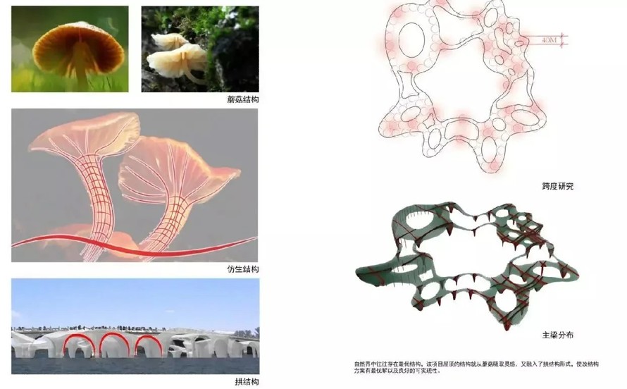 大师级设计布局-某市文化体育运动公园概念性规划设计方案+CAD平面总图（104页高清JPG+CAD总图）