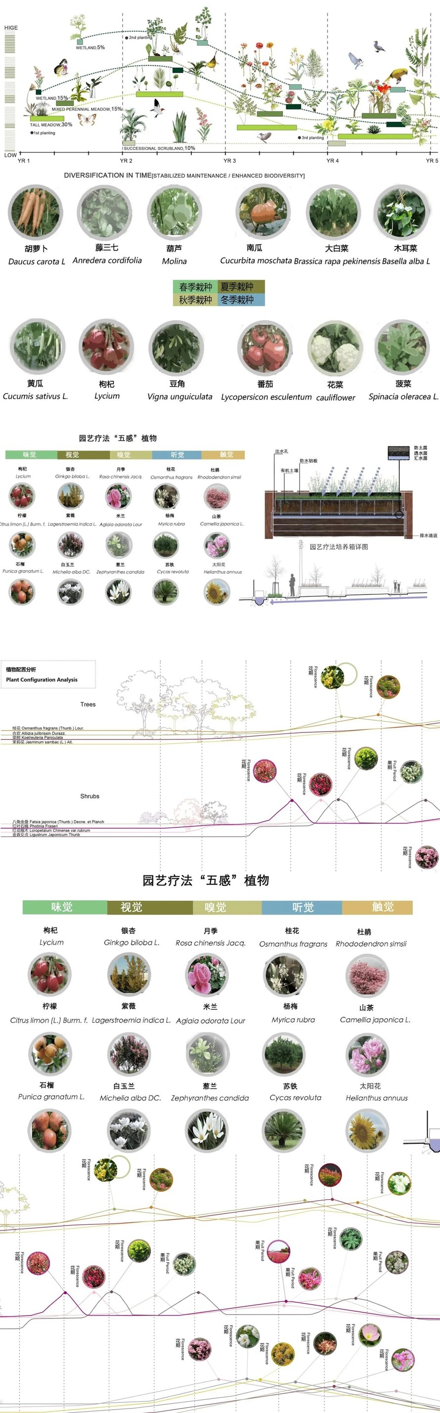 植物专项设计经典参考-清雅风格表现分层素材-植物设计专项分析-五幅PSD高清分层素材（资料为：5幅PSD植物分析参考图）