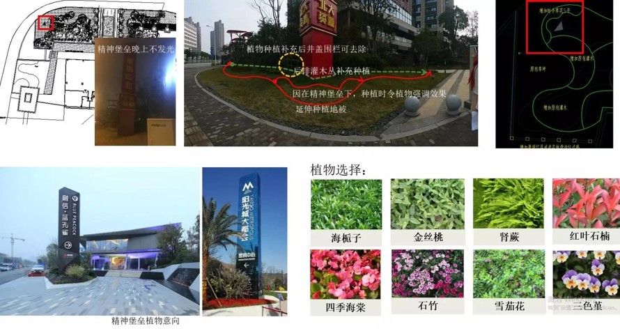 植物配置为主-小品点缀为辅-某高端地产项目售楼处-园林景观品质提升设计方案+施工图（37页高清PPT+施工图）