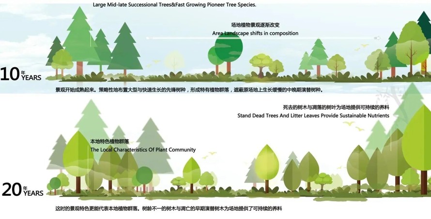 植物专项设计经典参考-清雅风格表现分层素材-植物设计专项分析-五幅PSD高清分层素材（资料为：5幅PSD植物分析参考图）