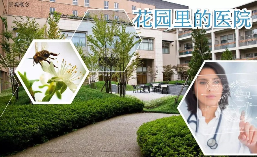 蜂巢概念-艺术小品构图-花园医院-骏地集团设计-某省人民医院景观深化设计方案（项目资料为：80页PDF文件）