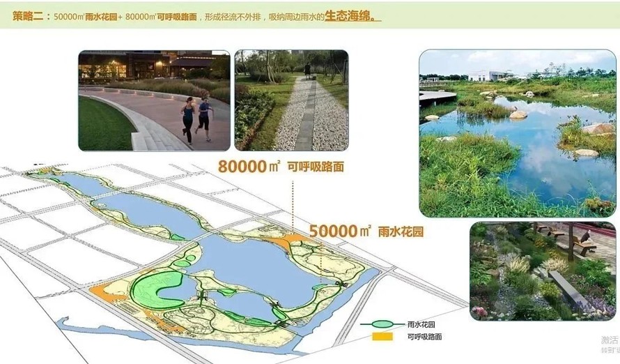 八万平可呼吸路面-五万平海绵型湿地-某市湖区生态公园景观设计方案