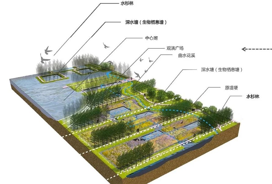 极力推荐-郊野公园作品-江苏省南通市如东县掘苴河湿地郊野公园方案深化知名规划设计作品