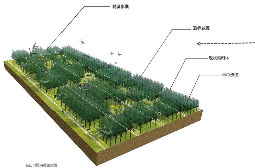 极力推荐-郊野公园作品-江苏省南通市如东县掘苴河湿地郊野公园方案深化知名规划设计作品