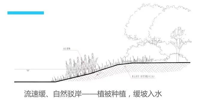 知名滨水景观新作-亳州市北部新城陵西湖景观设计方案-该文件为：206高清版PDF文件