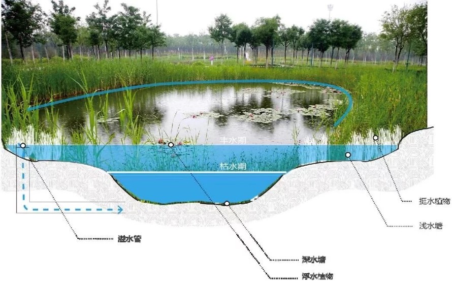 极力推荐-郊野公园作品-江苏省南通市如东县掘苴河湿地郊野公园方案深化知名规划设计作品