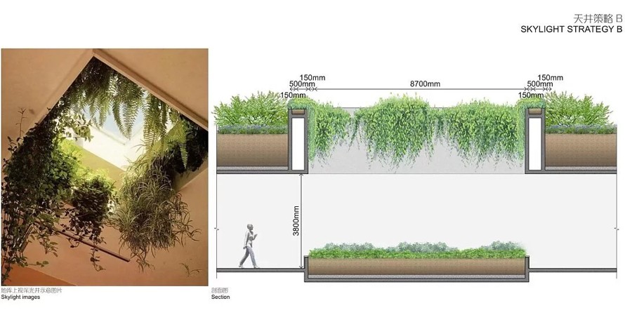 浪漫花园-品质豪宅-知名设计作品-某市金茂系豪宅楼盘景观设计方案（该项目资料包括：126页PDF高清文件）