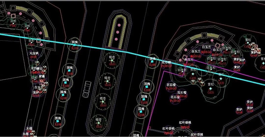 国际一流团队打造-五星级园林景观-植物景观超棒-天津碧桂园景观施工图+实景照片（园建+绿化+水电+网络实景图）