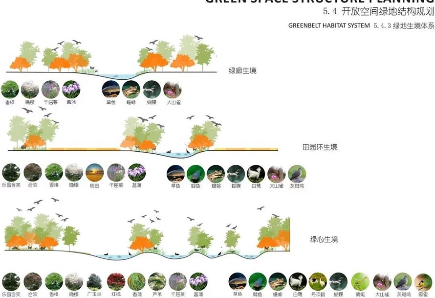 荷兰NITA集团设计-城市绿色地标-市民幸福港湾-某市核心区滨湖公园和体育公园景观方案及扩初设计（72页PDF高清文件）