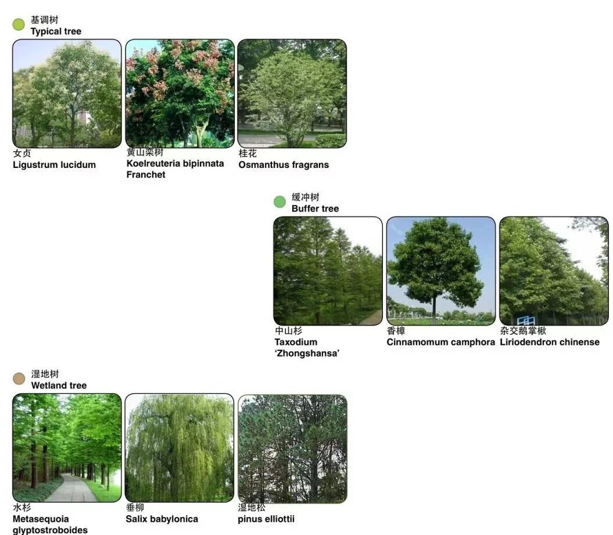 特大型环城绿道景观规划和生态修复工程深化设计方案（该项目环线景观涉及公共绿地、城市公园、休闲娱乐等项目）