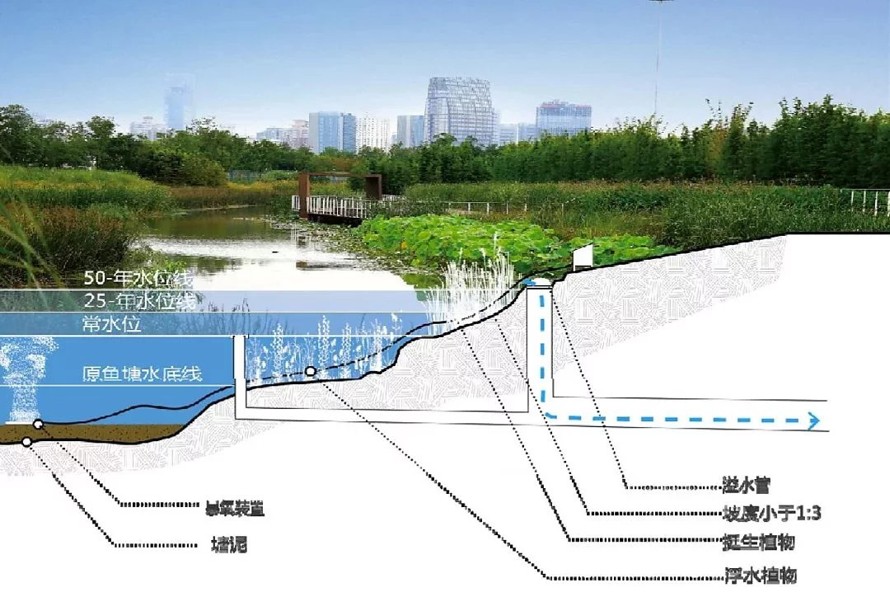 极力推荐-郊野公园作品-江苏省南通市如东县掘苴河湿地郊野公园方案深化知名规划设计作品