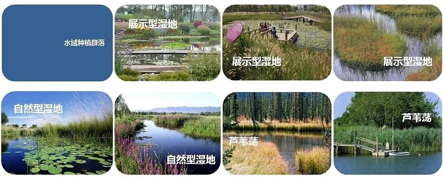 康乐主题乐园-东联设计项目山西临汾涝洰河康乐园 和 栖霞园景观方案（康乐园138页高清PPT栖霞园56页高清PPT