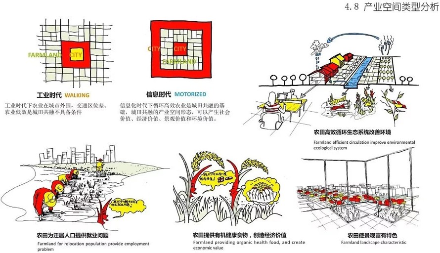 荷兰NITA集团设计-城市绿色地标-市民幸福港湾-某市核心区滨湖公园和体育公园景观方案及扩初设计（72页PDF高清文件）