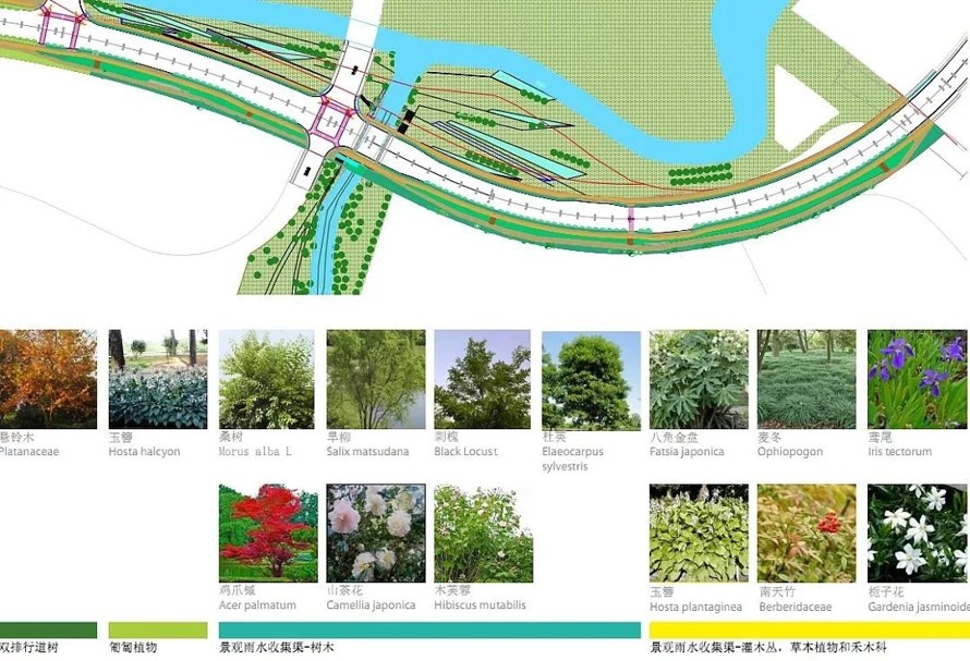 国家级新区-长沙湘江新区梅溪湖路西延线景观工程设计方案-法国岱禾规划与景观事务所（该项目资料为：180页PDF高清文