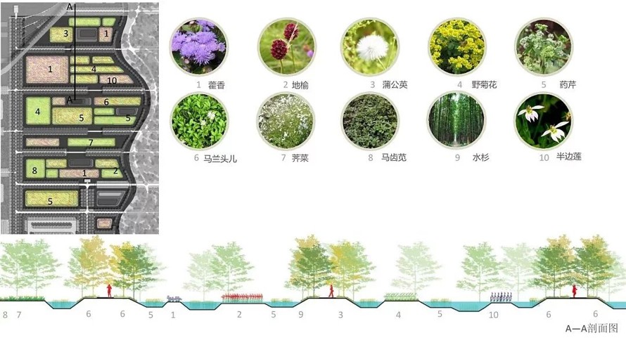 极力推荐-郊野公园作品-江苏省南通市如东县掘苴河湿地郊野公园方案深化知名规划设计作品