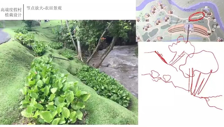 古为今用-洋为中用-植物设计高级研修教程-顶豪度假村-城市公园等植物配置（内容吸取中国古典园林精华运用于现代景观设计）