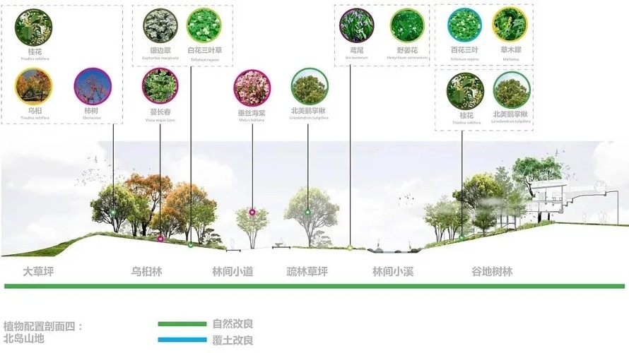 国际都市--太极新城-- 规划设计-上海浦东新区无限港城市中央滨水景观规划设计方案