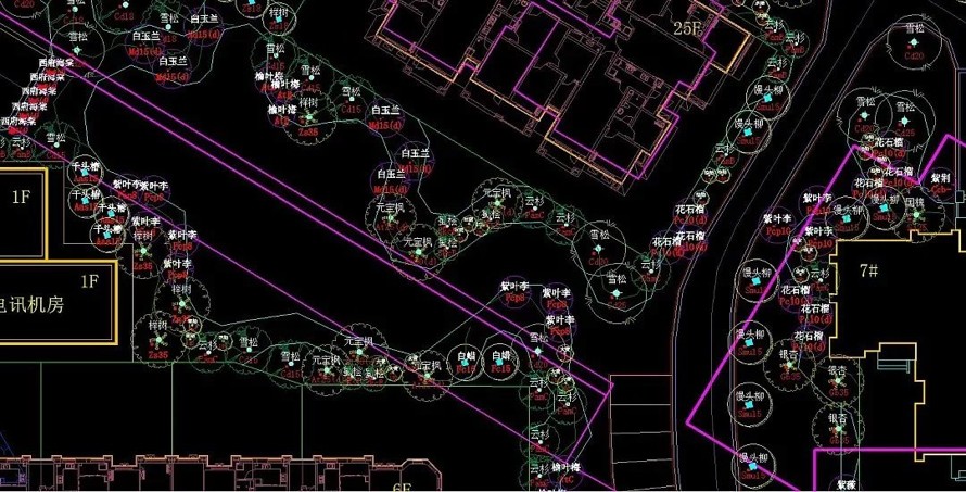 国际一流团队打造-五星级园林景观-植物景观超棒-天津碧桂园景观施工图+实景照片（园建+绿化+水电+网络实景图）