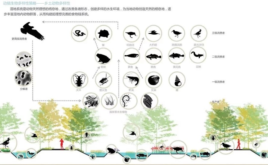 极力推荐-郊野公园作品-江苏省南通市如东县掘苴河湿地郊野公园方案深化知名规划设计作品