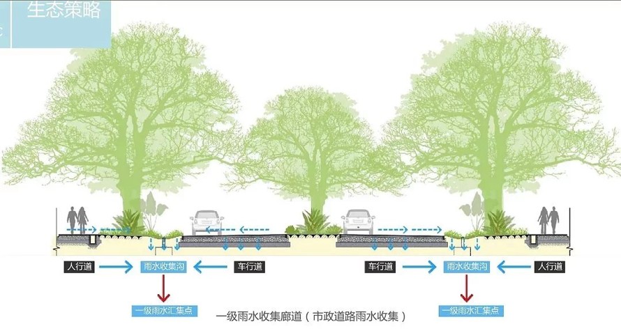 极力推荐-郊野公园作品-江苏省南通市如东县掘苴河湿地郊野公园方案深化知名规划设计作品